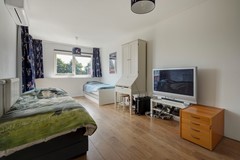 Stepelerveld 83_42.jpg